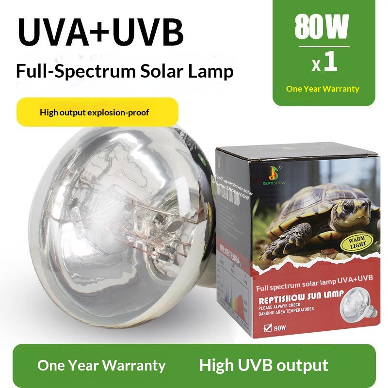 Water Turtle Heating Calcium Supplement Lizard Warming Lamp