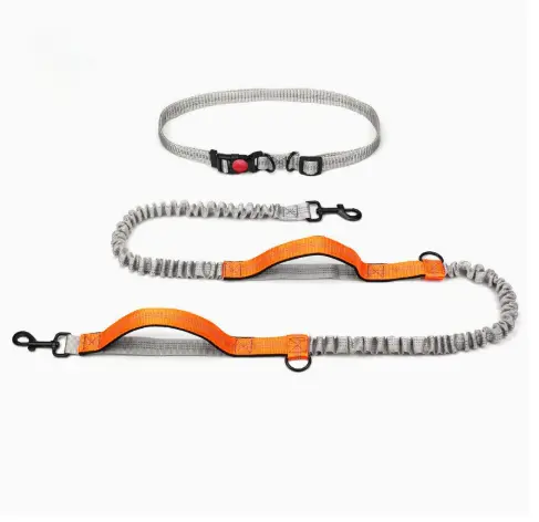 Pet Supplies Outdoor Running Dog Leash