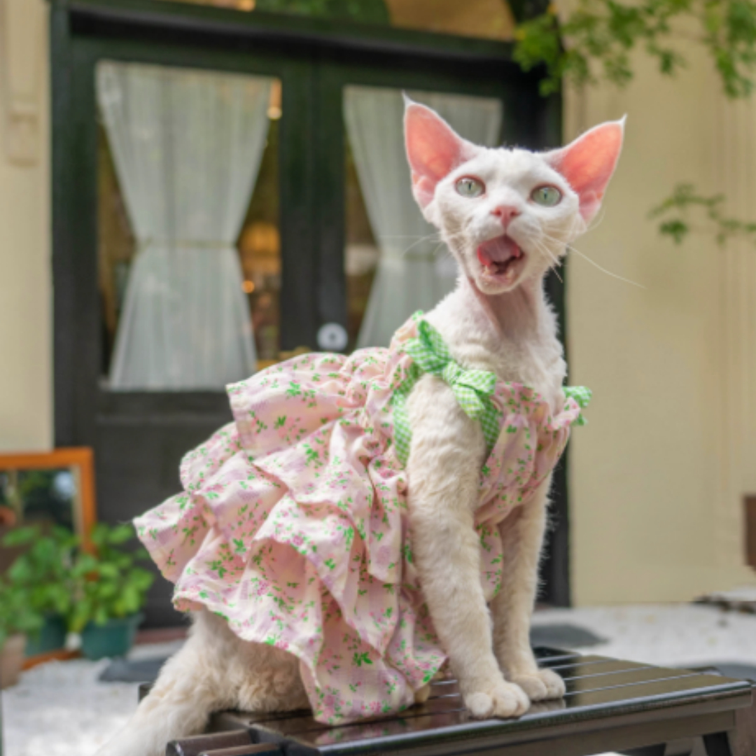 Elf German Cat Clothes Hairless Cat Wrinkled Cotton Cake Skirt
