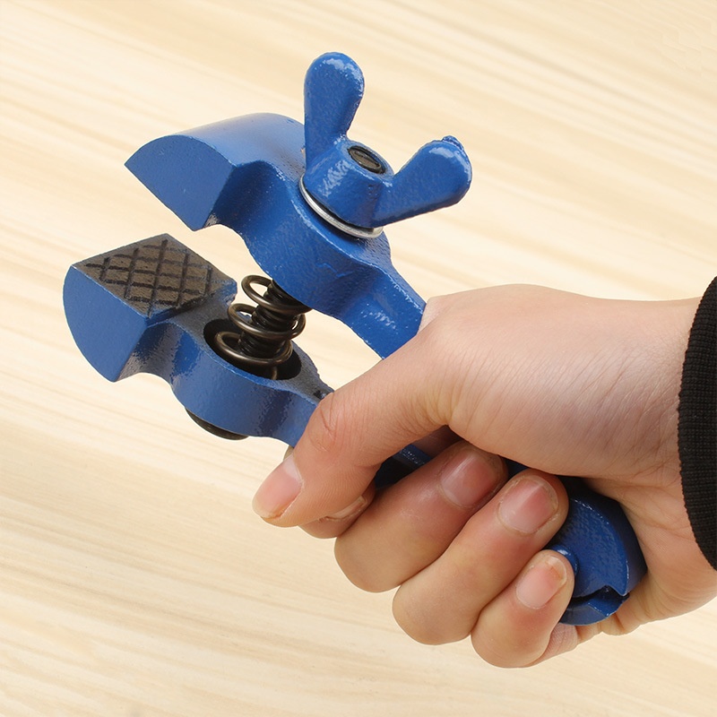 Mini Hand Vise Multi Functional Pliers Small Heavy Duty Fixed Clamp Precision Vise