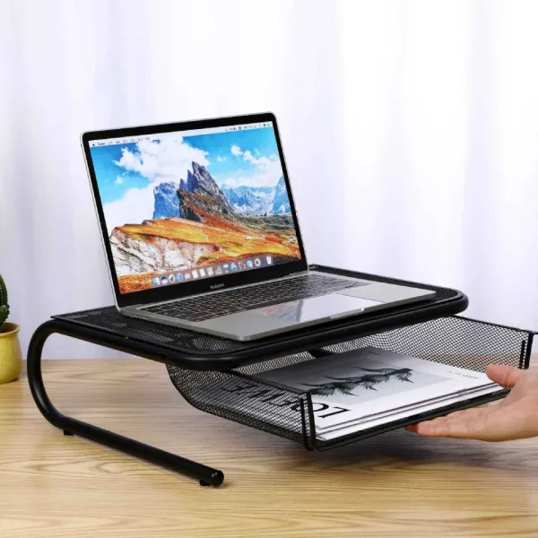 Arch Mesh Monitor Riser