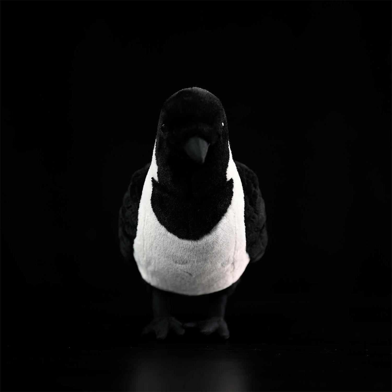 Da Wu Li Western Jackdaw Plush Toy 5