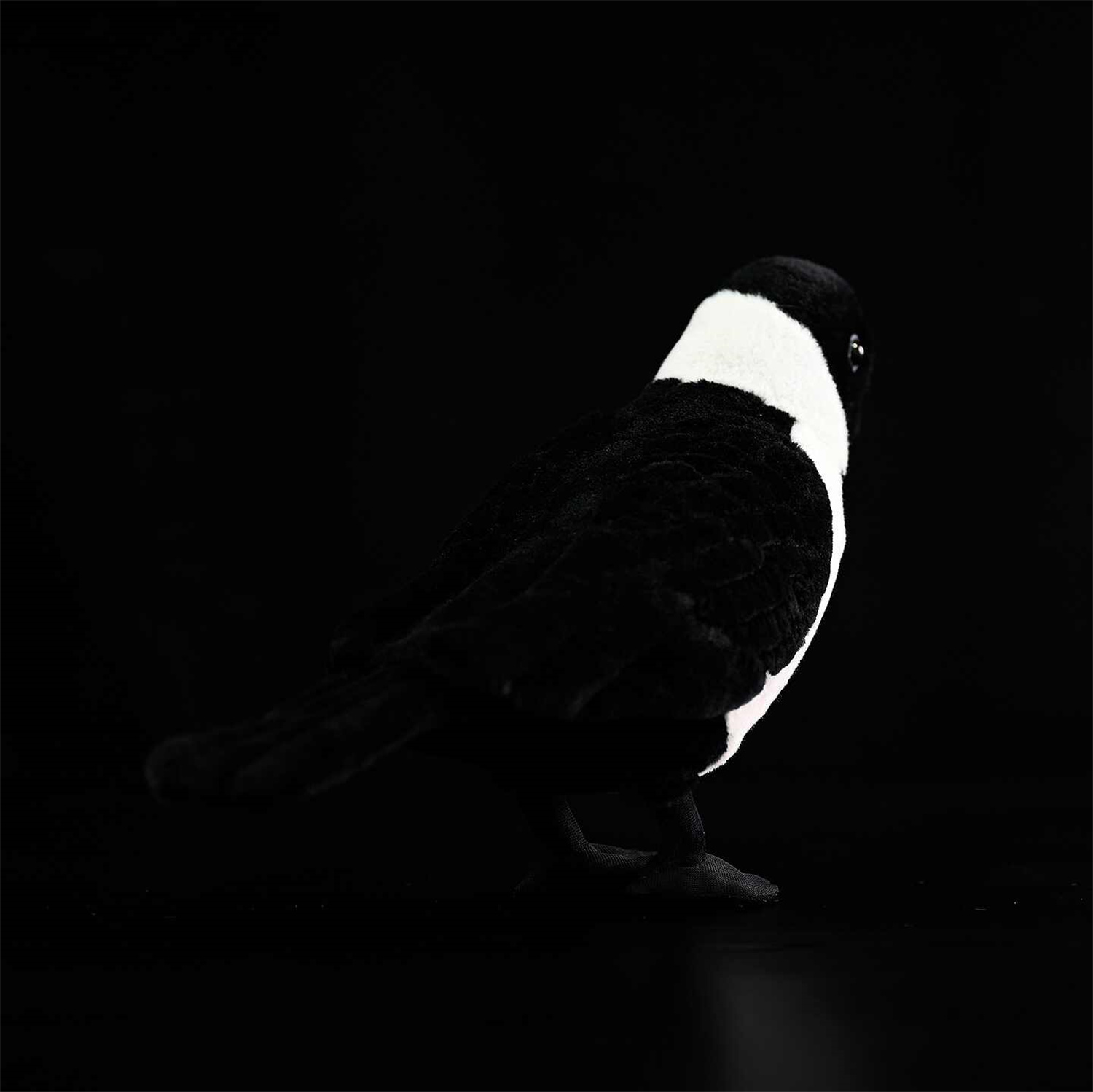 Da Wu Li Western Jackdaw Plush Toy