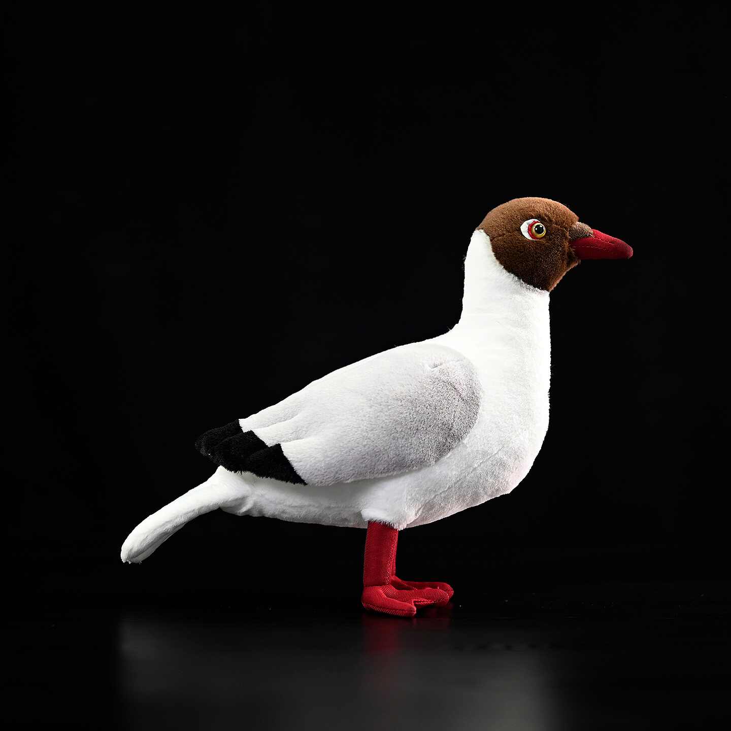 Brown-headed Gull Dolls Are Cute