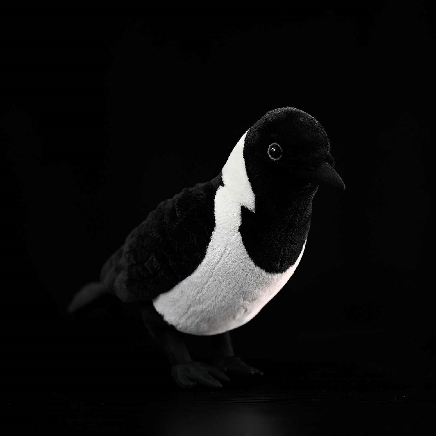 Da Wu Li Western Jackdaw Plush Toy 2