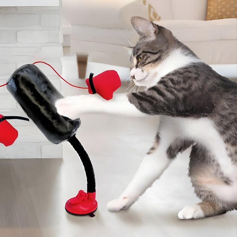 Cat Playing with Boxing Stand