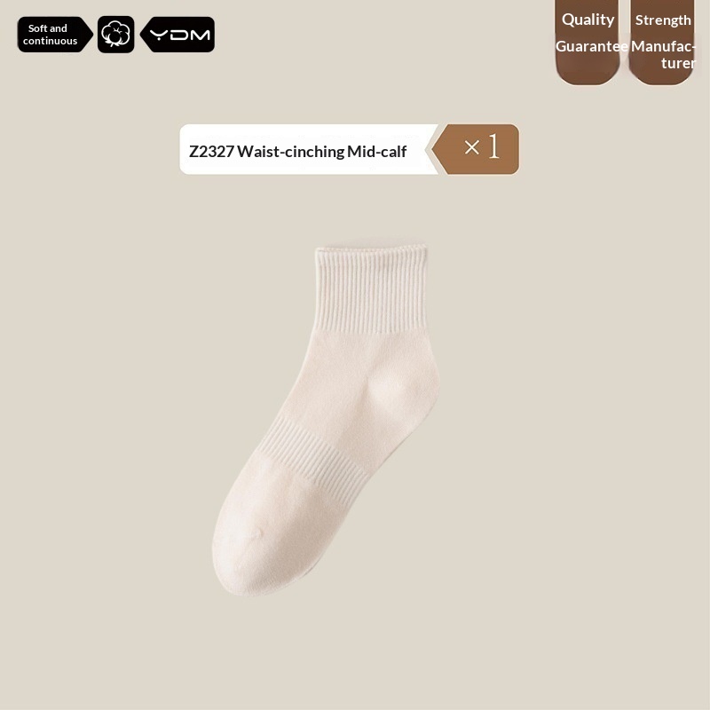 Apricot-Average Size