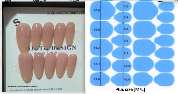 Ombre Natural-looking Handmade Wearable Nails