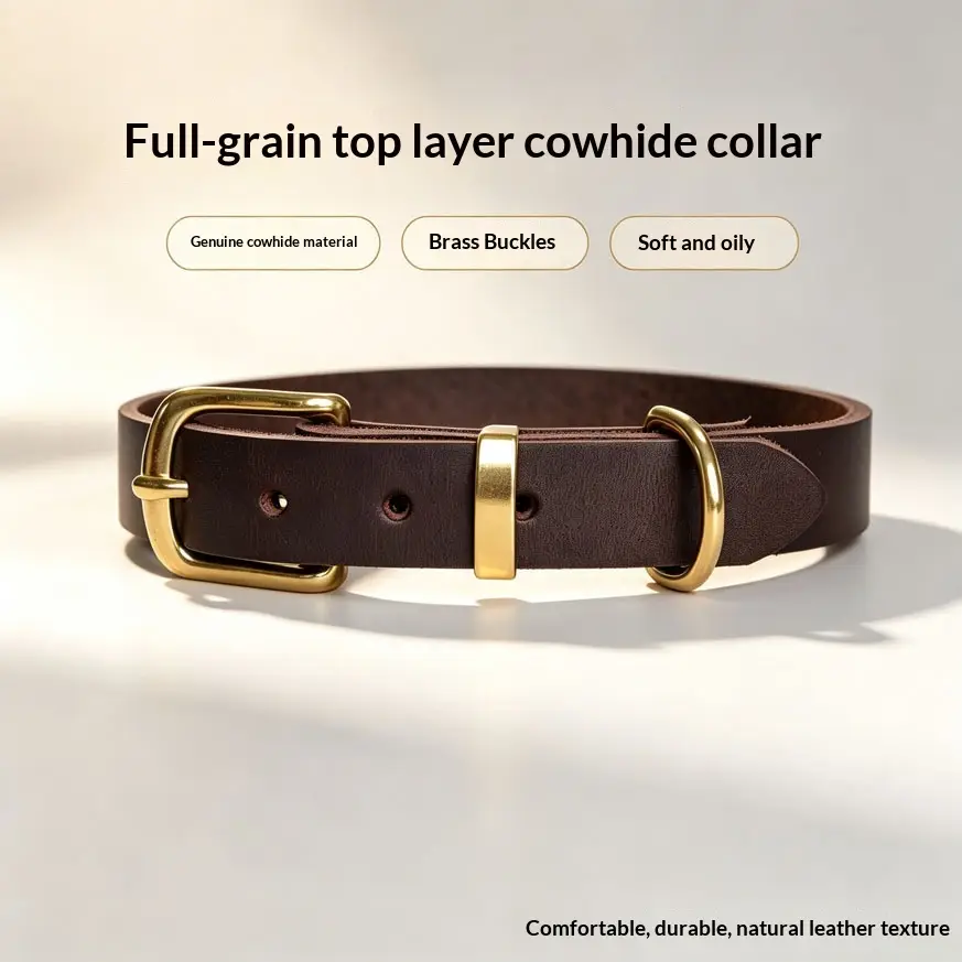 Vintage-style Pet Collar With Brass Fastenings