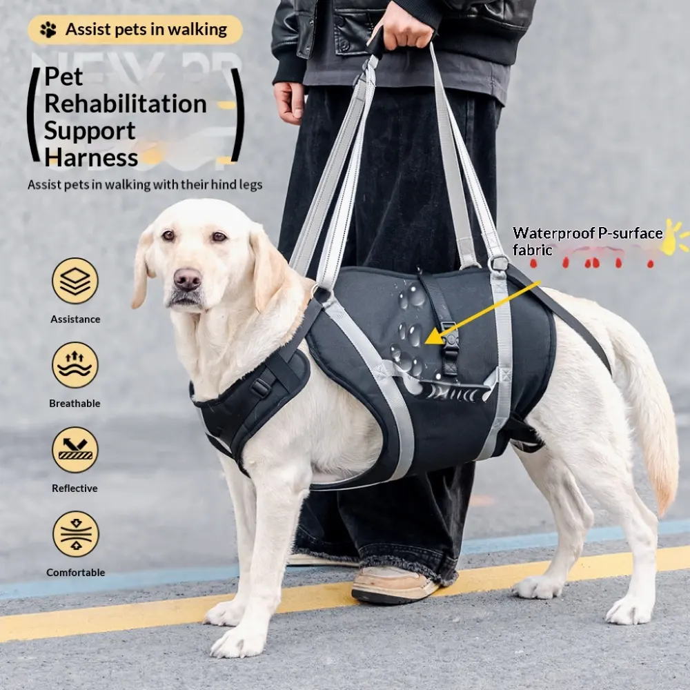 Medium to Large Dog Waterproof Harness with Adjustable Straps