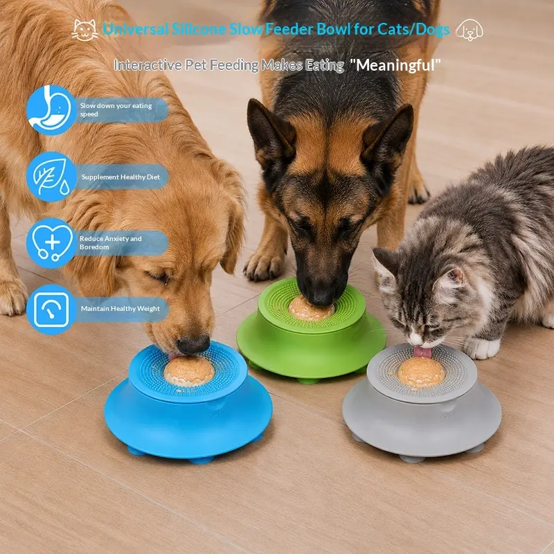 Wet Food Slow-Feeding Bowl