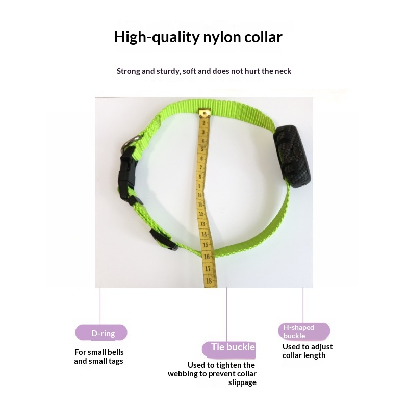 Collier GPS chien et chat 4G, étanche et réglable