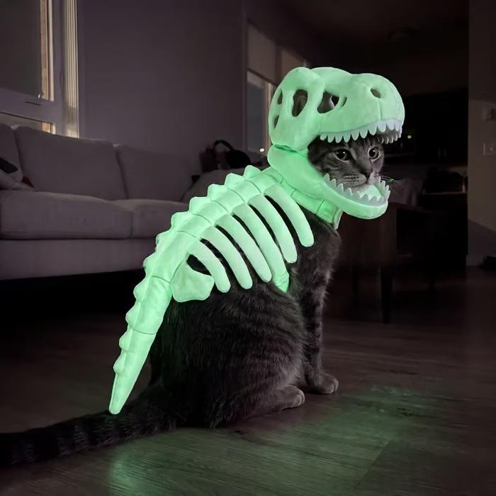 Dark Dinosaur Skeleton Pet Costume