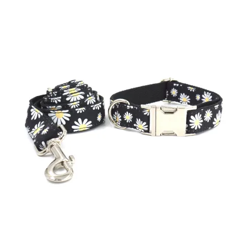 Engraved Dog Collar and Leash Pet Supplies