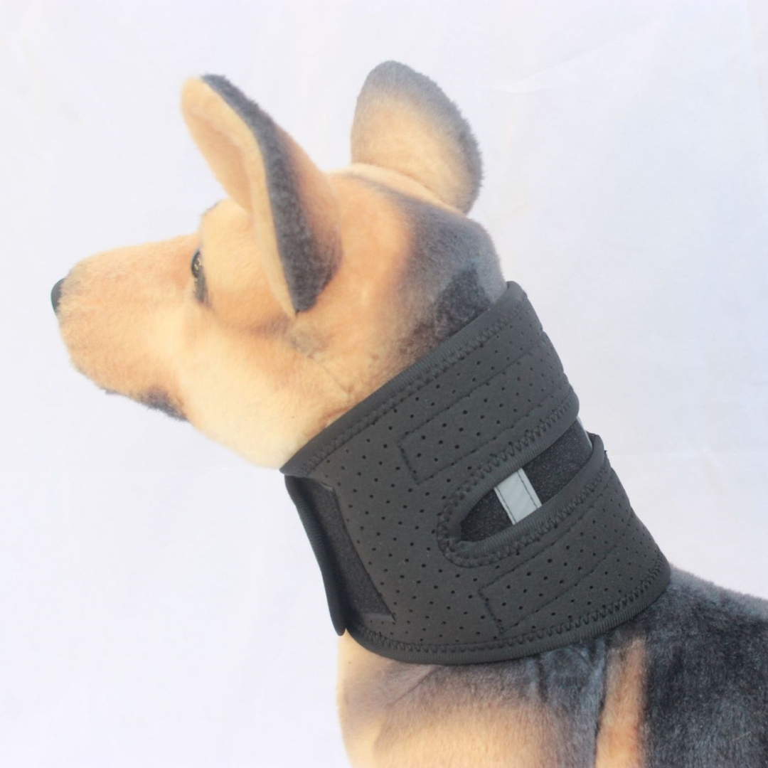 Adjustable Pet Collar For Post surgery Stability And Protection Against Neck Sprains