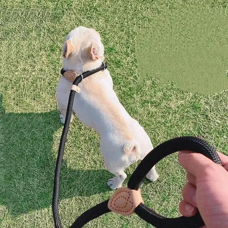 Dog Leash Anti-pull P-chain Walking