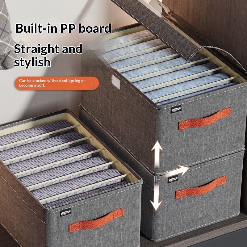 Cationic Compartment Storage Box With Lid, PP Material, Washable
