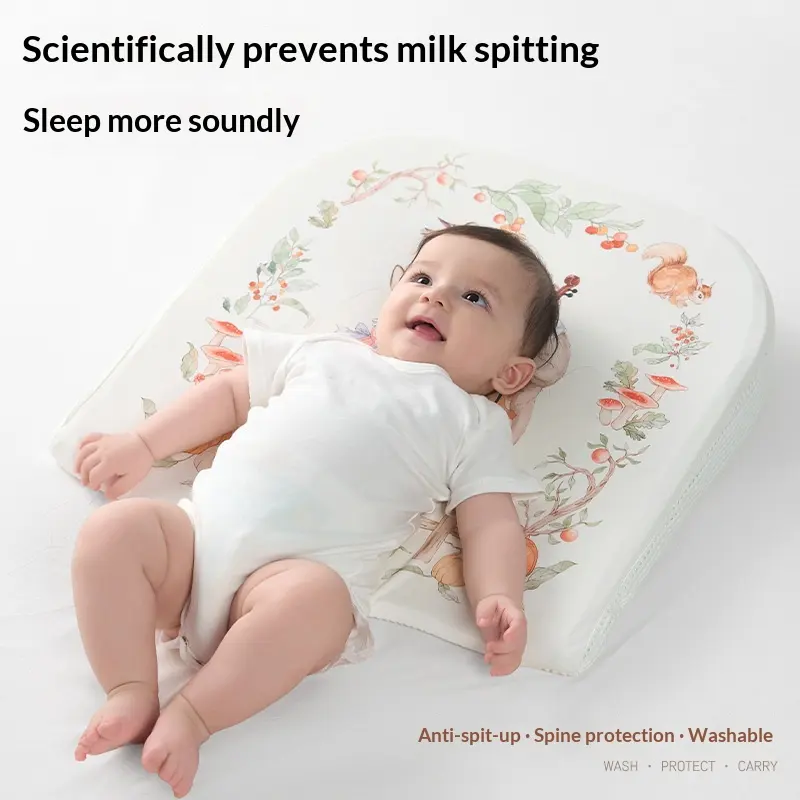 Newborn Anti-reflux Inclined Pad Feeding Pillow