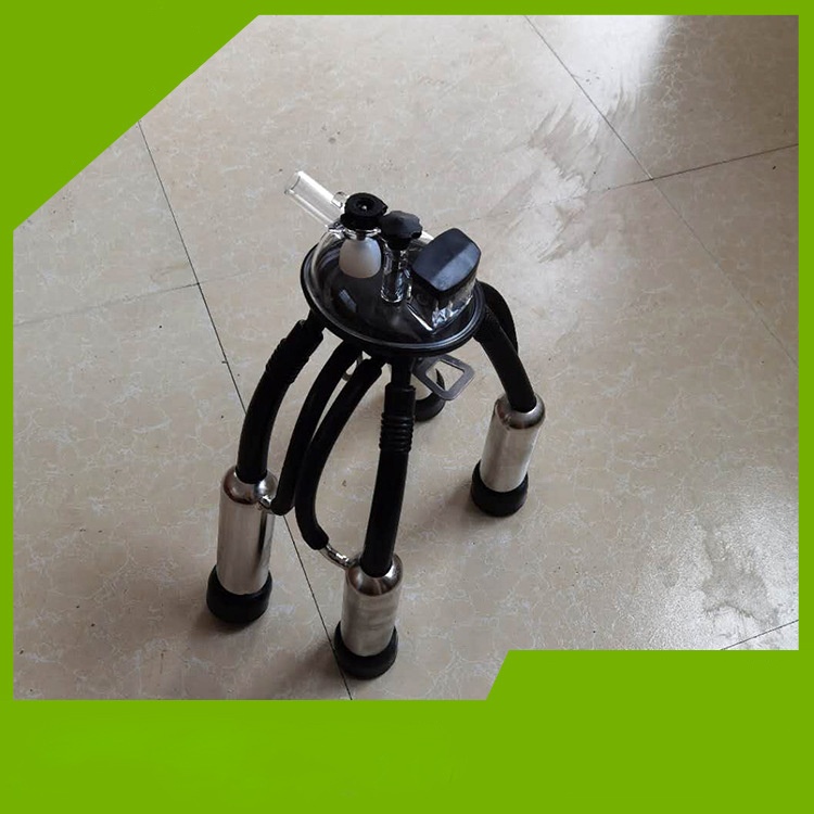 https://oss-cf.cjdropshipping.com/product/2026/08/01/00/13a0e01f-2062-47cf-b364-c3077aed3d21.jpg