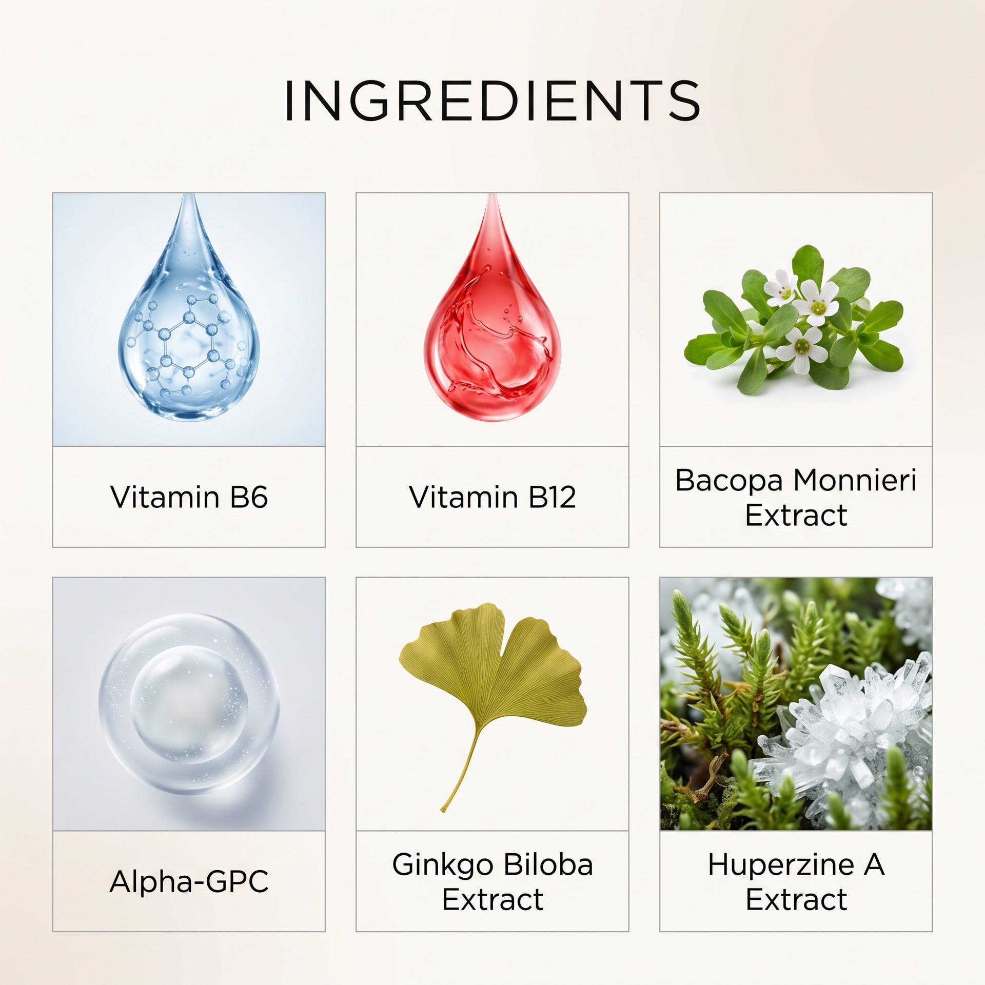Gélules Concentration — Bacopa, Ginkgo et Huperzine A 3