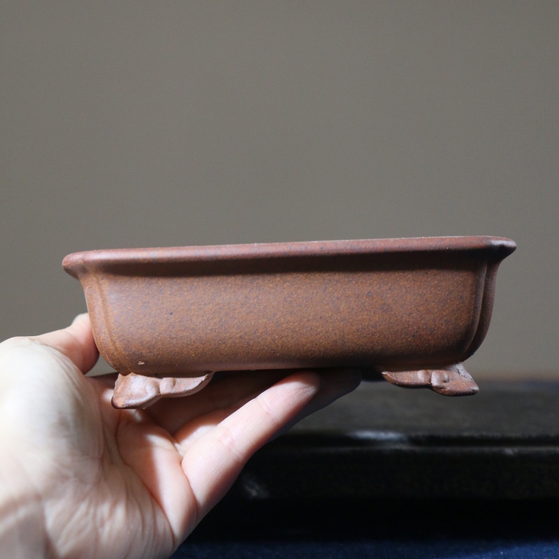 Pot pour plante