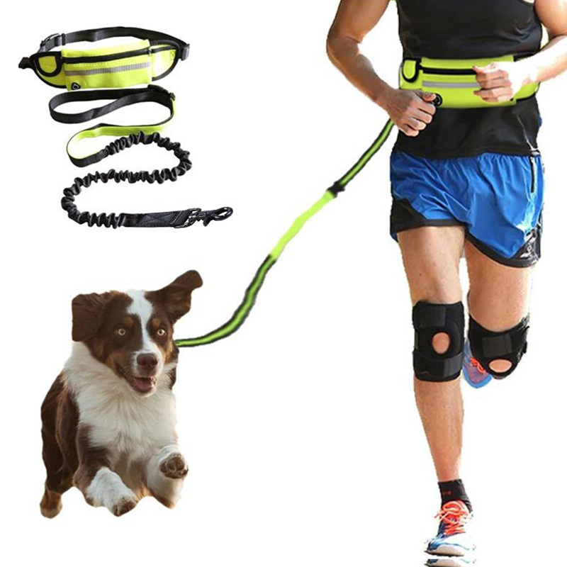 Hands Free Dog Leash Pet Walking And Training Belt With Shock Absorbing Bungee Leash For Up To 180lbs Large Dogs Phone Pocket And Water Bottle Holder