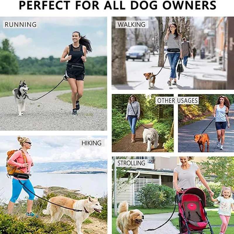 Hands Free Dog Leash Pet Walking And Training Belt With Shock Absorbing Bungee Leash For Up To 180lbs Large Dogs Phone Pocket And Water Bottle Holder – image 2