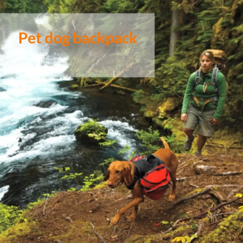 Large Dog Carrier For Travel And Outdoor