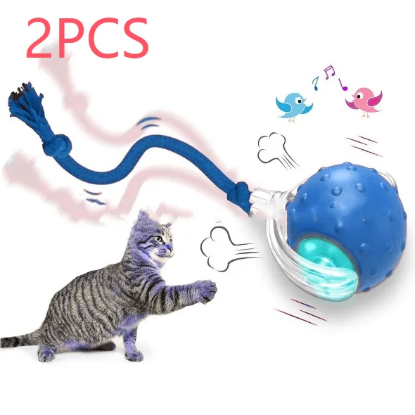 Interactive Cat Toy Ball Super Drive Rolling