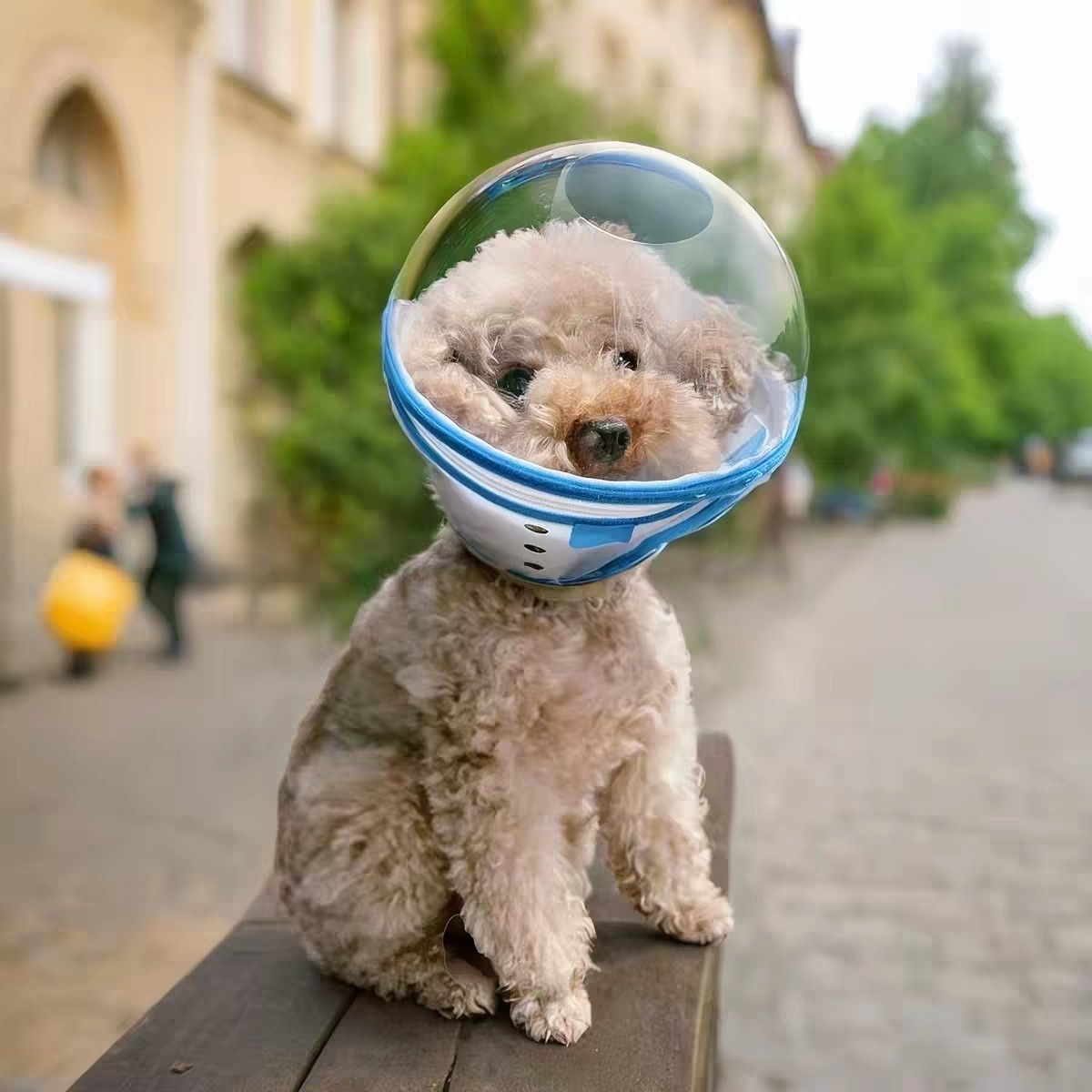 Cat And Dog Nail Clipping Licking And Biting Proof Space Style Headgear - Cat And Dog Nail Clipping Licking And Biting Proof Space Style Headgear L Sky Blue