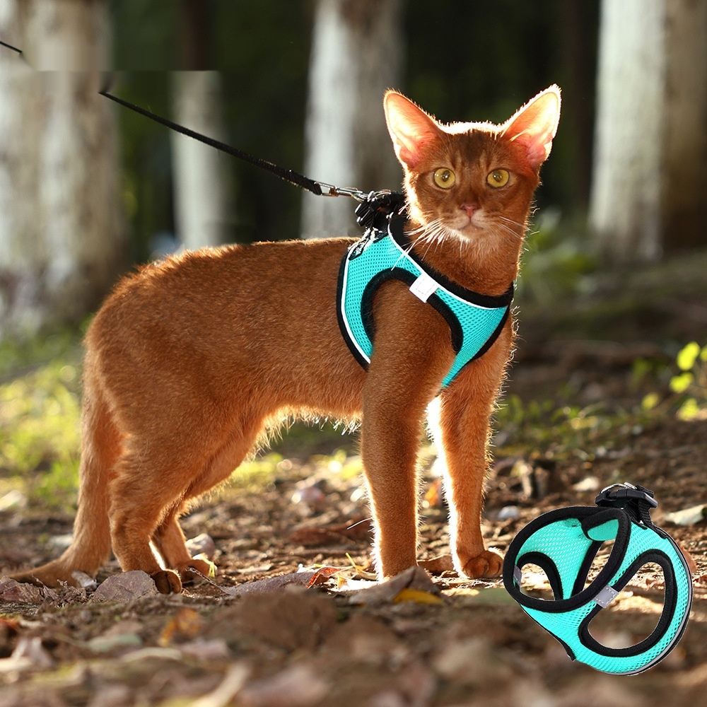 Outdoor Dog-walking Vest-style Harness Leash