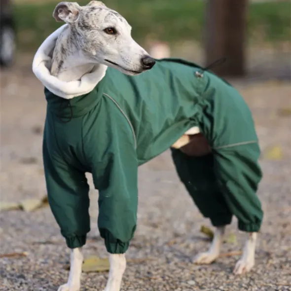 Pet Windbreaker With Zipper Cotton-padded Jacket