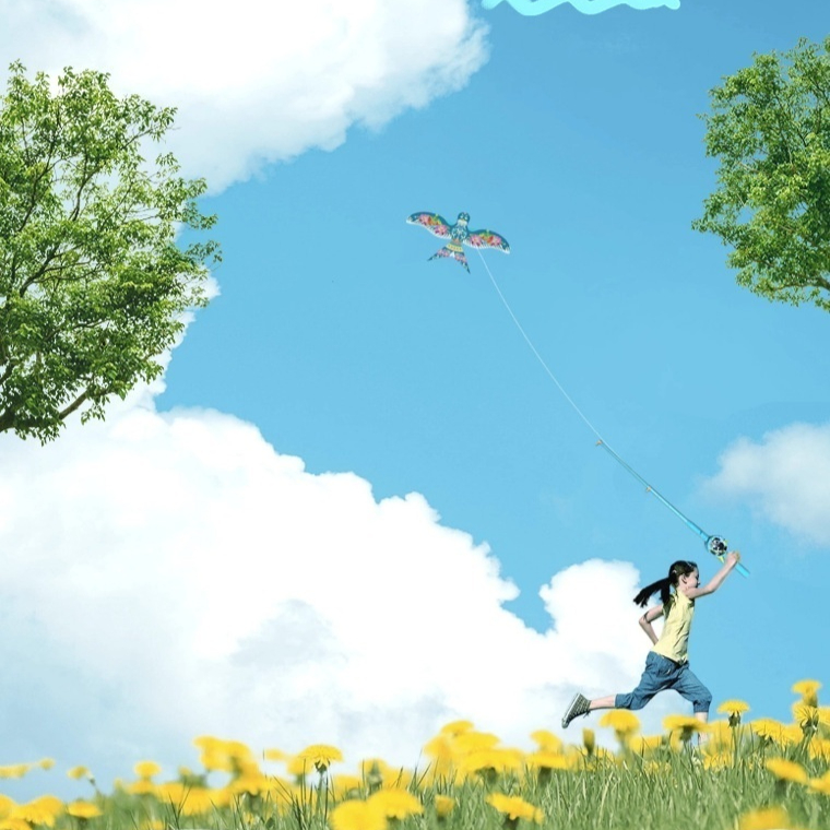 New Childrens Handheld Fishing Rod With A Dynamic Flying Bird Kite