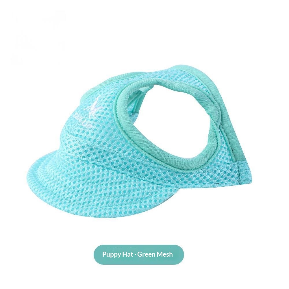 Casquette pour animal avec ouvertures pour les oreilles