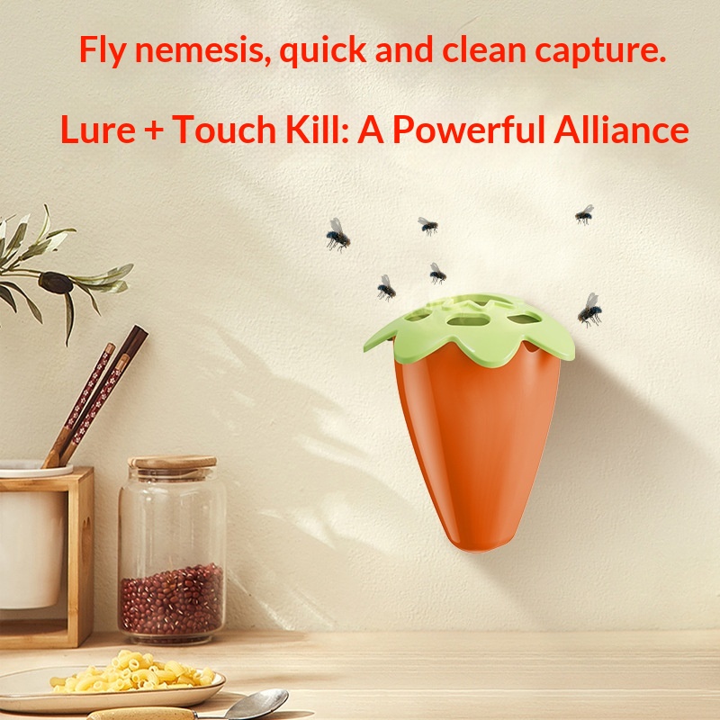 Household Fly Bait Gadget