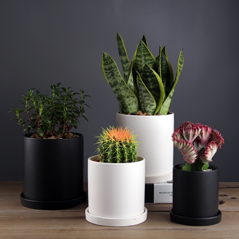 Ghiveci de flori simplu, modern, cu pereți drepți, din ceramică, pentru uz casnic