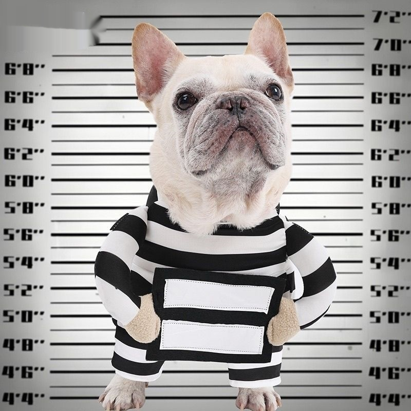 Personalized Halloween Dog Prisoner Pet Costume