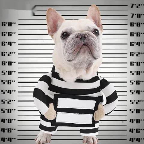 Personalized Halloween Dog Prisoner Pet Costume