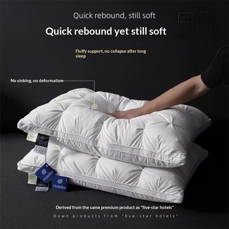 Household Antibacterial Pillows A Pair For Students