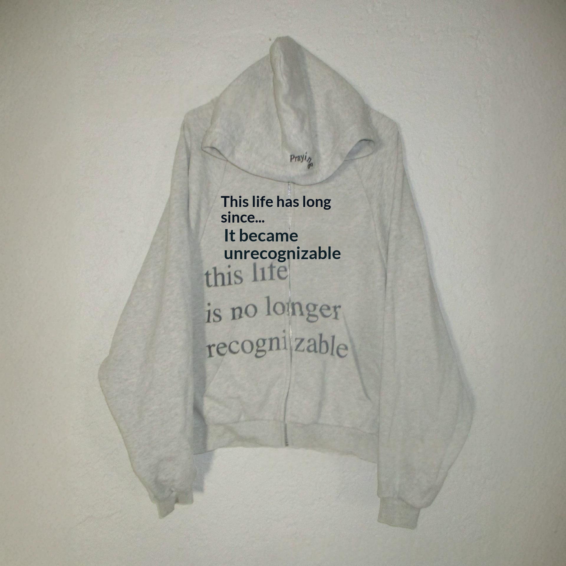 Printed Hooded Oversized Unisex Niche Sweatshirt