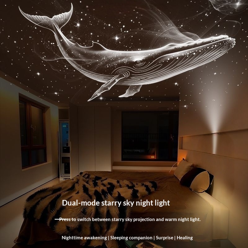 Starry Sky Lamp Projection Slide