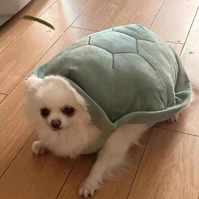Creative And Unique Turtle Shell Pet Clothing