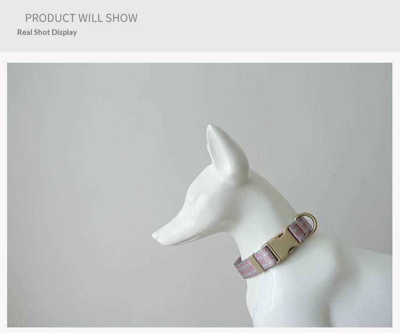 Pet Training Collar And Leash Set detail photo 4