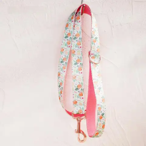 Soft and Comfortable Pet Dog Collar Leash Set