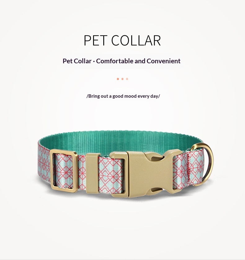 Pet Training Collar And Leash Set detail photo 9