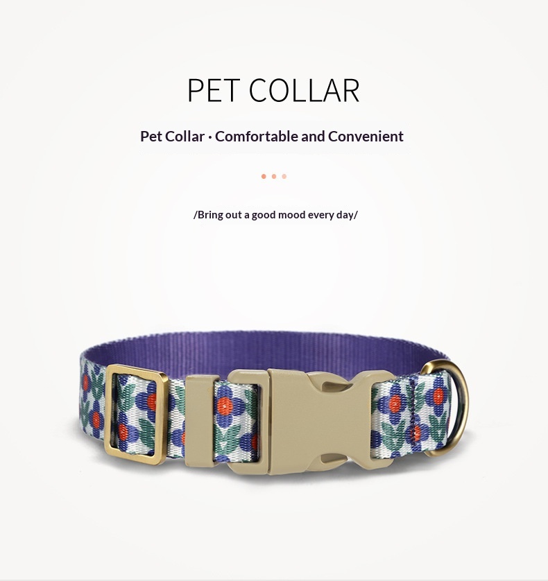 Pet Dog Nylon Leash Good Set detail photo 10