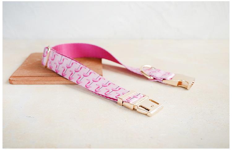 Self-designed Soft And Comfortable Pet Dog Collar Leash Set detail photo 2