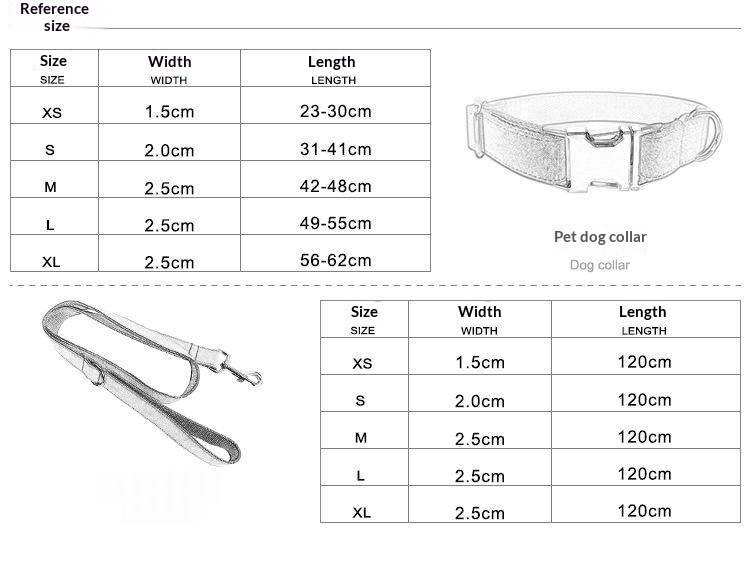 Hardware Buckle Pet Dog Collar Leash Set detail photo 1
