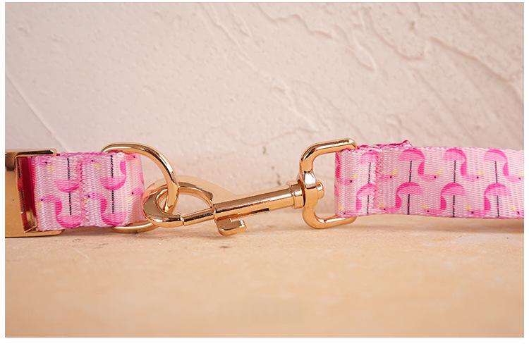Self-designed Soft And Comfortable Pet Dog Collar Leash Set detail photo 9