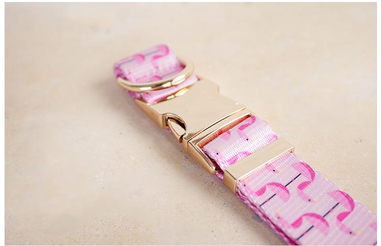 Self-designed Soft And Comfortable Pet Dog Collar Leash Set detail photo 8